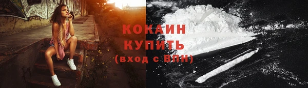 гидра Нестеровская
